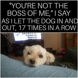 Meet your Posher, Danielle